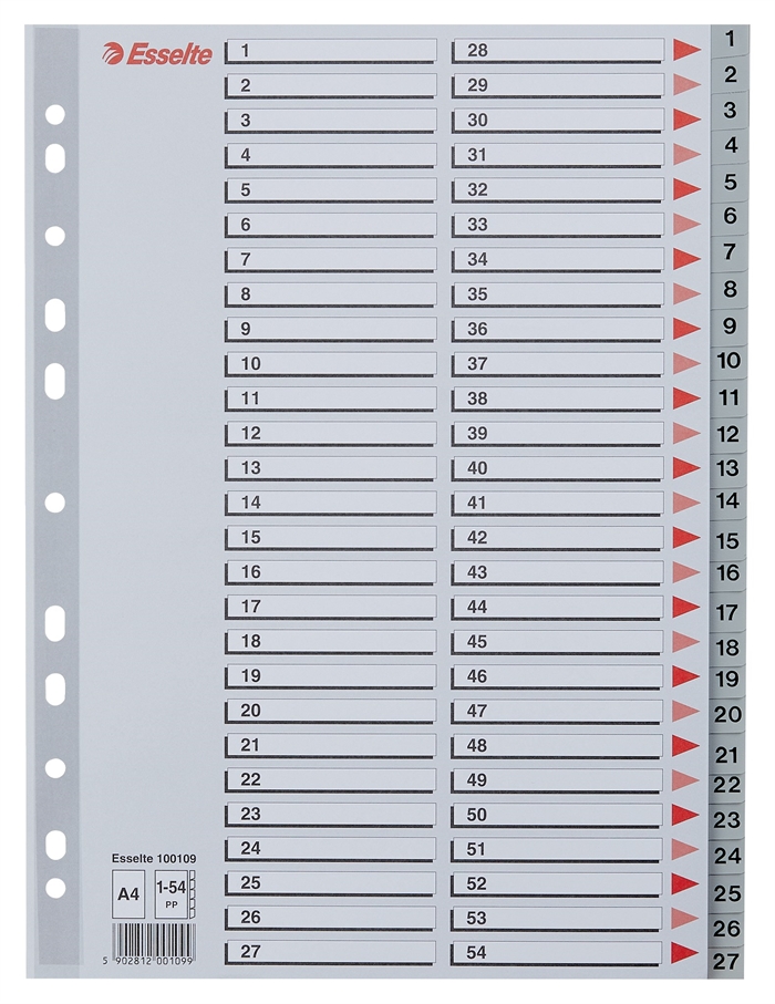 Esselte Register PP A4 1-54 siva