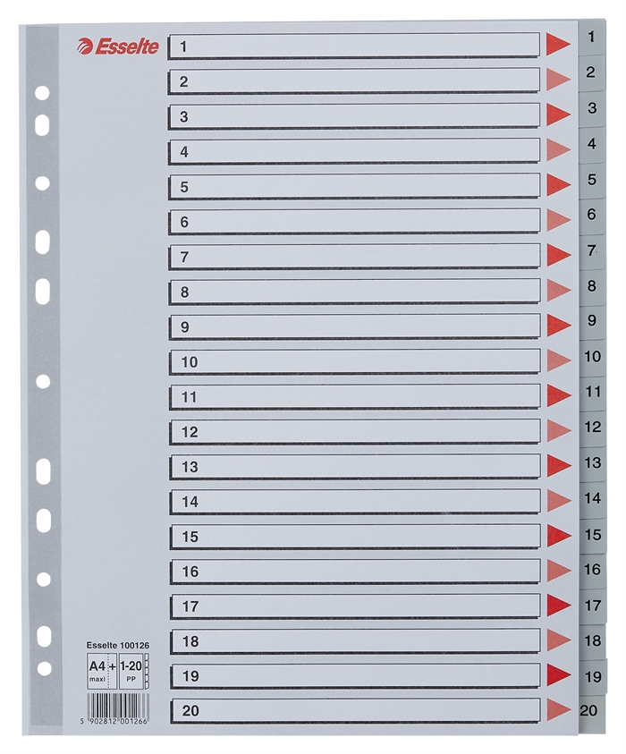 Esselte Register PP A4 maxi 1-20 sivo