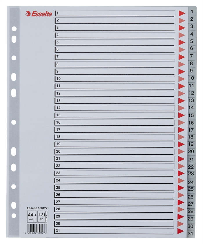 Esselte Register PP A4 maxi 1-31 sivo