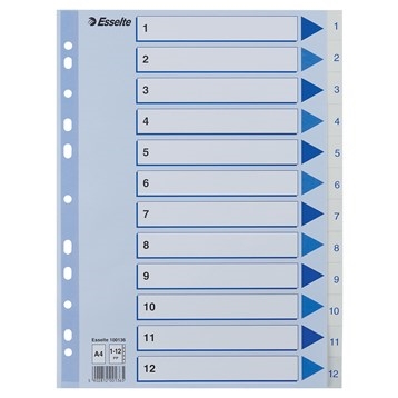 Esselte Register PP A4 1-12 beli